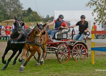 fahren-gonsenheim
