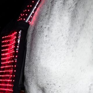 Nordian Lichttherapie